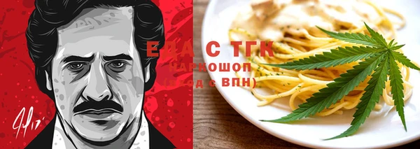 шишки Гусиноозёрск