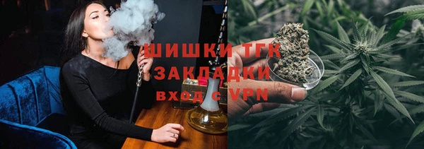 шишки Гусиноозёрск