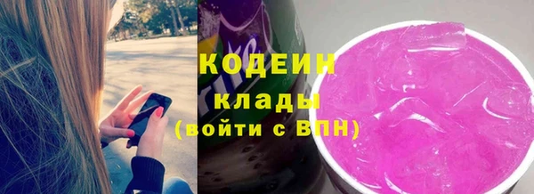 шишки Гусиноозёрск