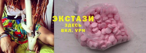шишки Гусиноозёрск