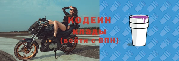 шишки Гусиноозёрск