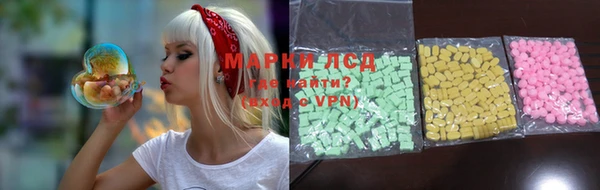 шишки Гусиноозёрск