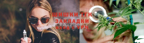 шишки Гусиноозёрск