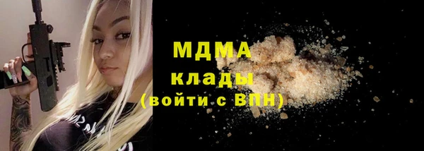 шишки Гусиноозёрск