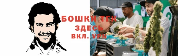 экстази Гусев