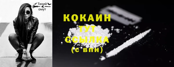 шишки Гусиноозёрск