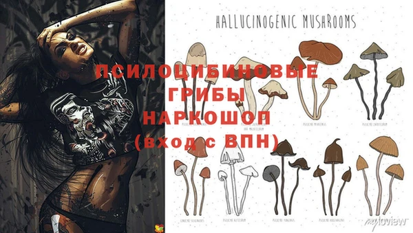 экстази Гусев