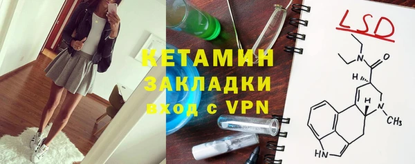 шишки Гусиноозёрск